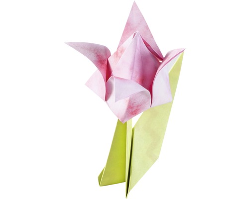 Gevouwen bladset Bloemen 170 vellen