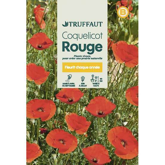 Coquelicot simple Rouge : En Sachet