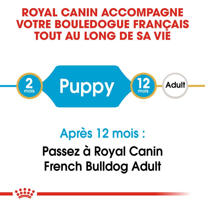 Royal Canin Bouledogue Français Puppy sur bitiba.fr