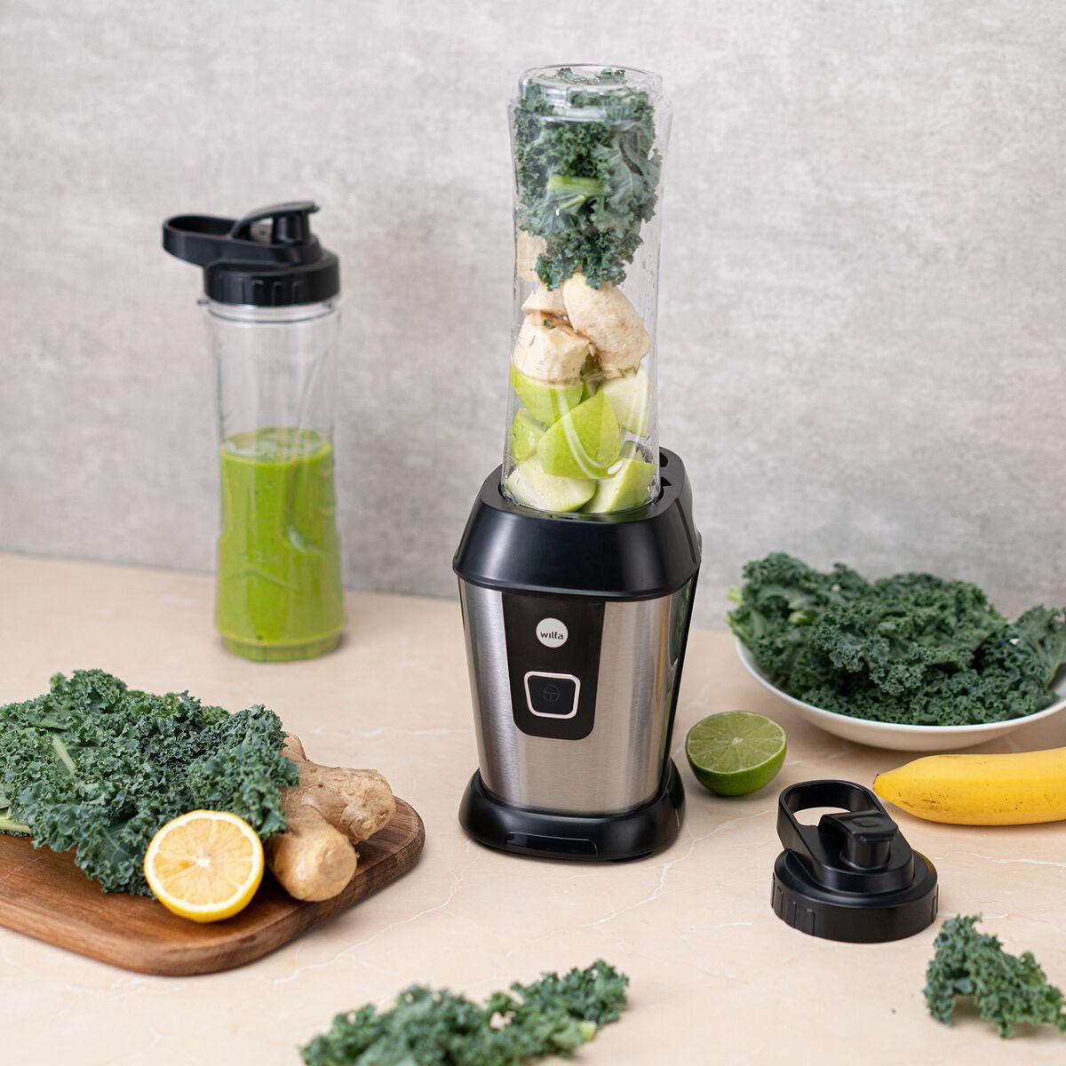 BL-5002GO TOGO blender 500 watt
