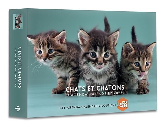 HUGO IMAGE - AGENDA CALENDRIER CHATS ET CHATONS 2025