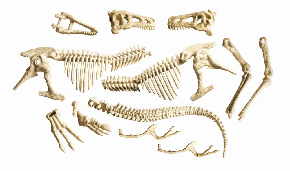 Clementoni Galileo Ausgrabungs-Set T-Rex & Fossil Modellier-Set
