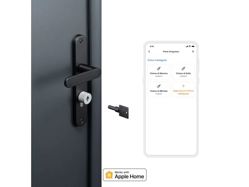 Netatmo NDL-EC, Intelligent dørlås, Nøgle, Nøglefri, Sort, Grå, Android, iOS, AAA, 4 stk