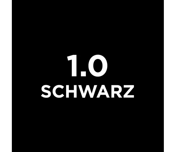 L'ORÉAL PARIS Brow Color Augenbrauenfarbe1.0 Schwarz