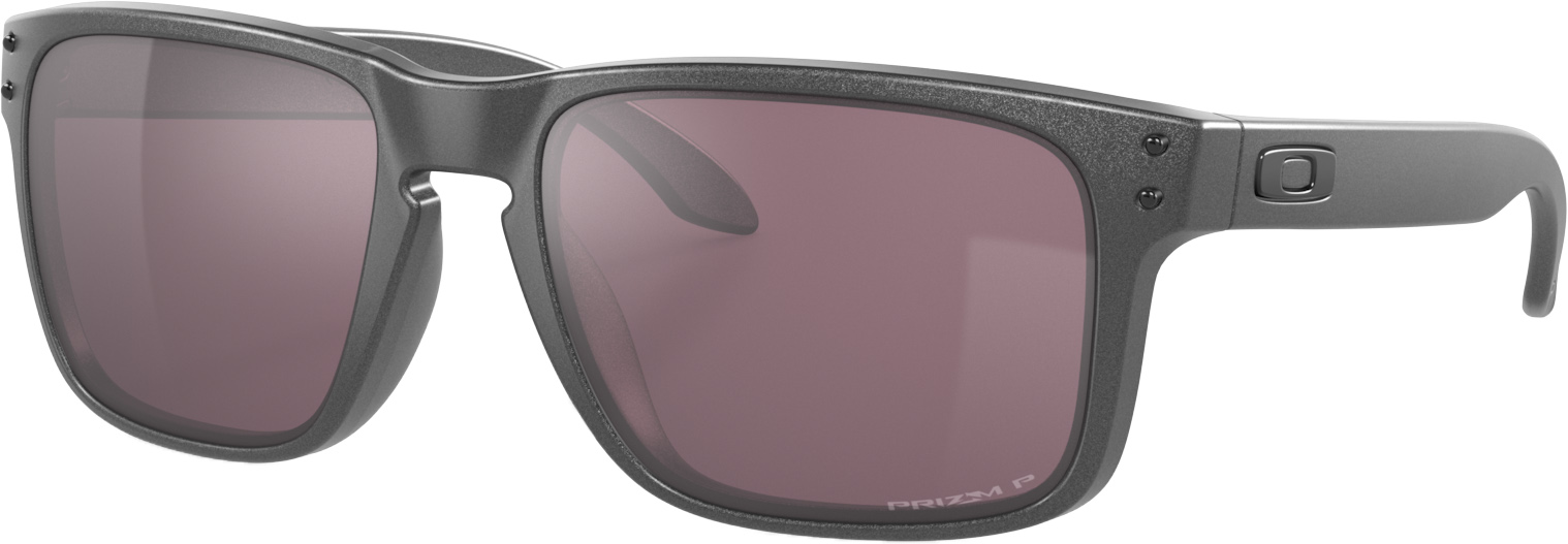 Holbrook  B555/Steel w/Prizm Daily Polarized