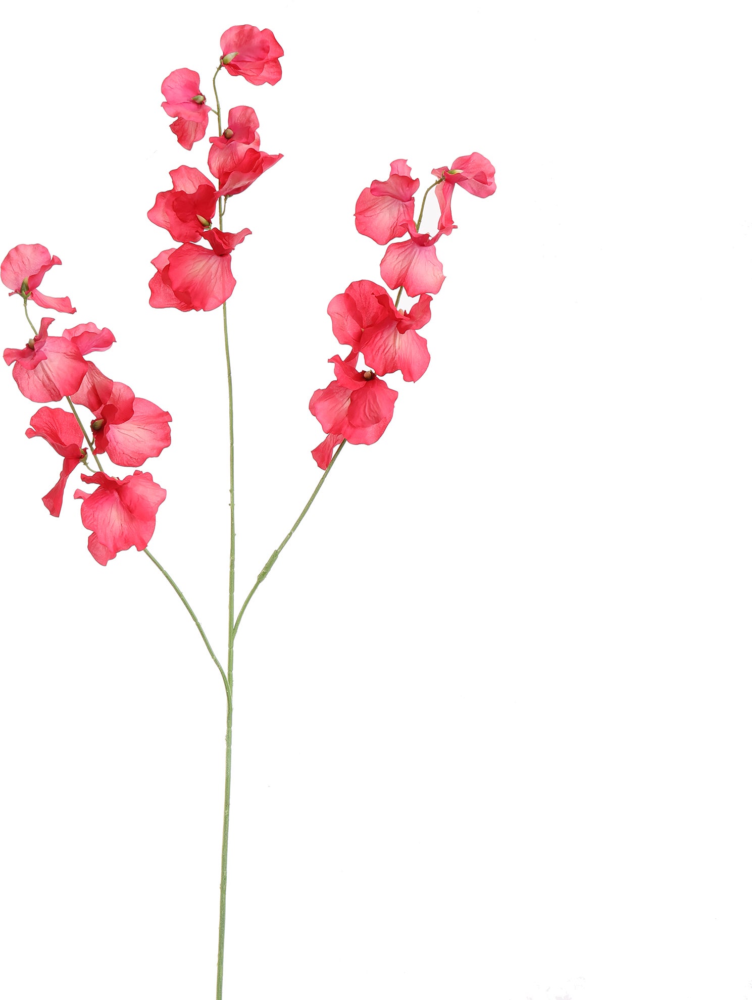 Jasaco PURE kunstbloem Lathyrus rood 115 cm