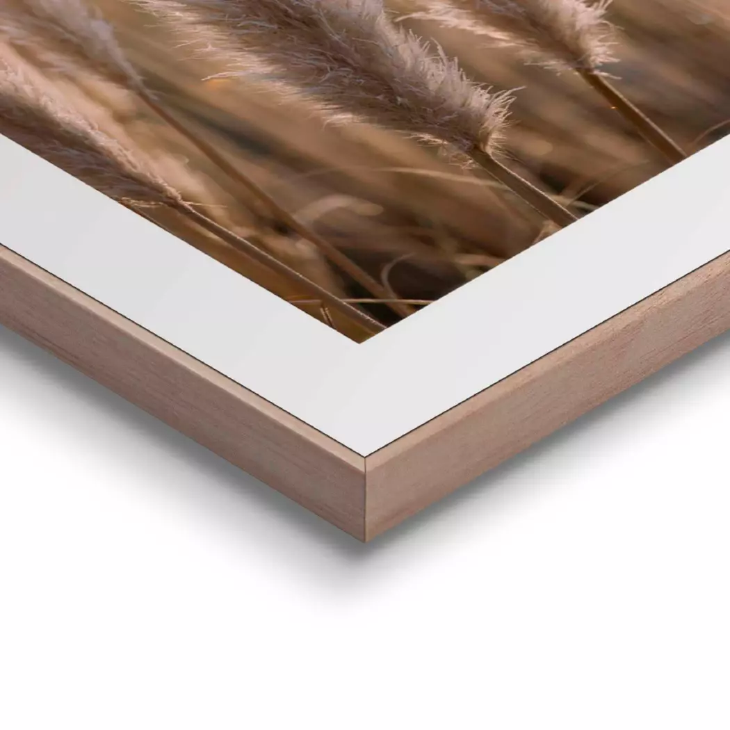 Wandbild 40 x 50 cm Pampas