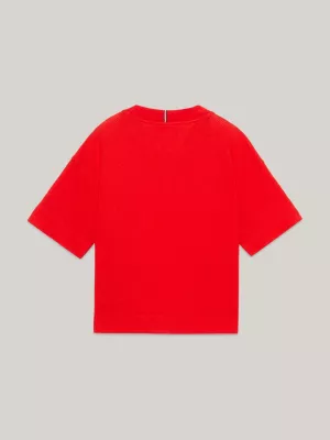 Camiseta Hilfiger Monotype Varsity Mesh