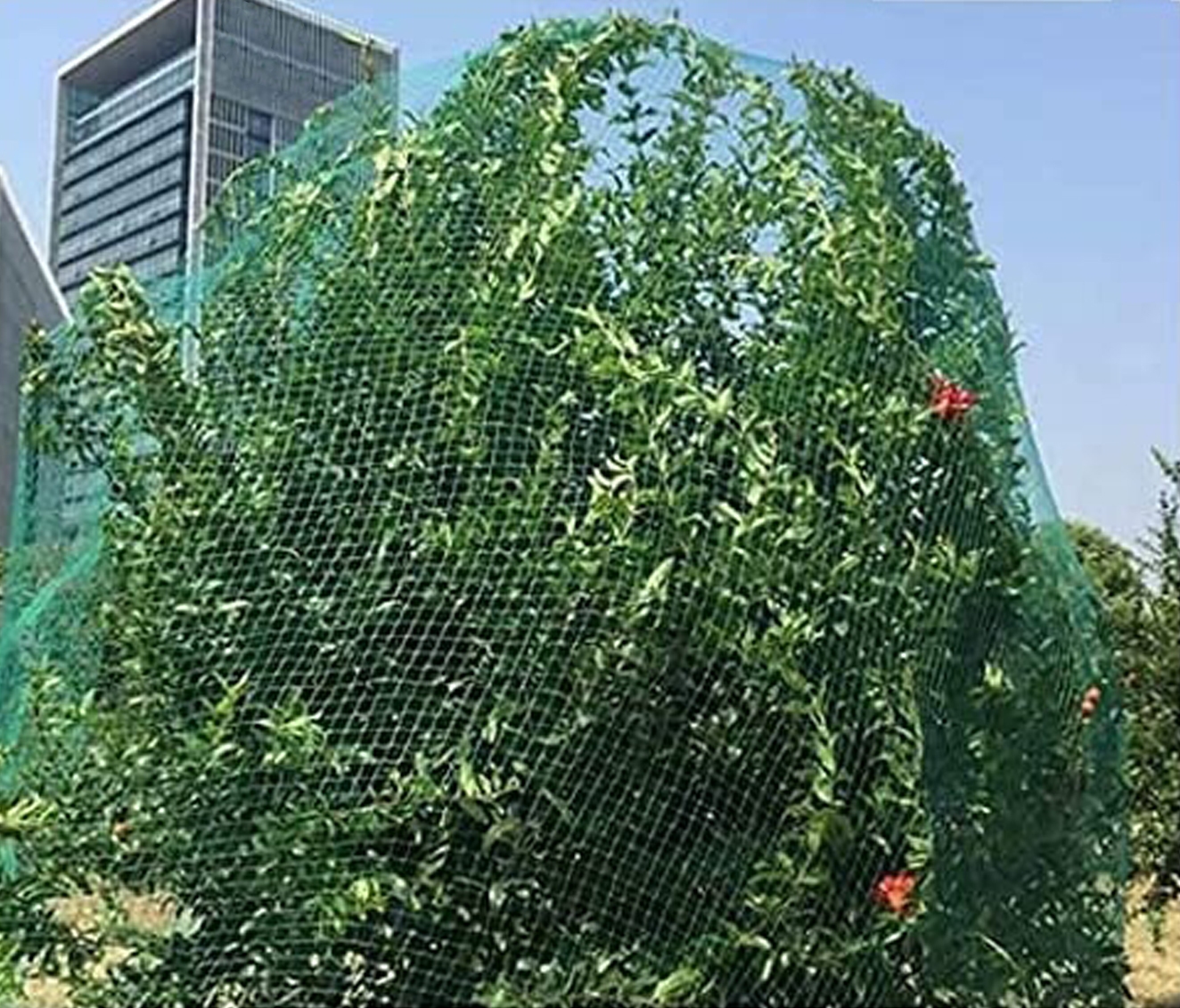 Vogelschutznetz 5 x 2 m