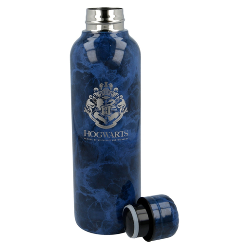 Garrafa térmica Harry Potter 62063