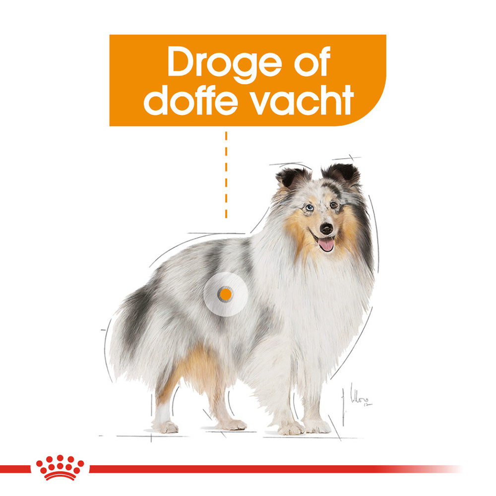 Royal Canin Coat Care Wet - Hondenvoer