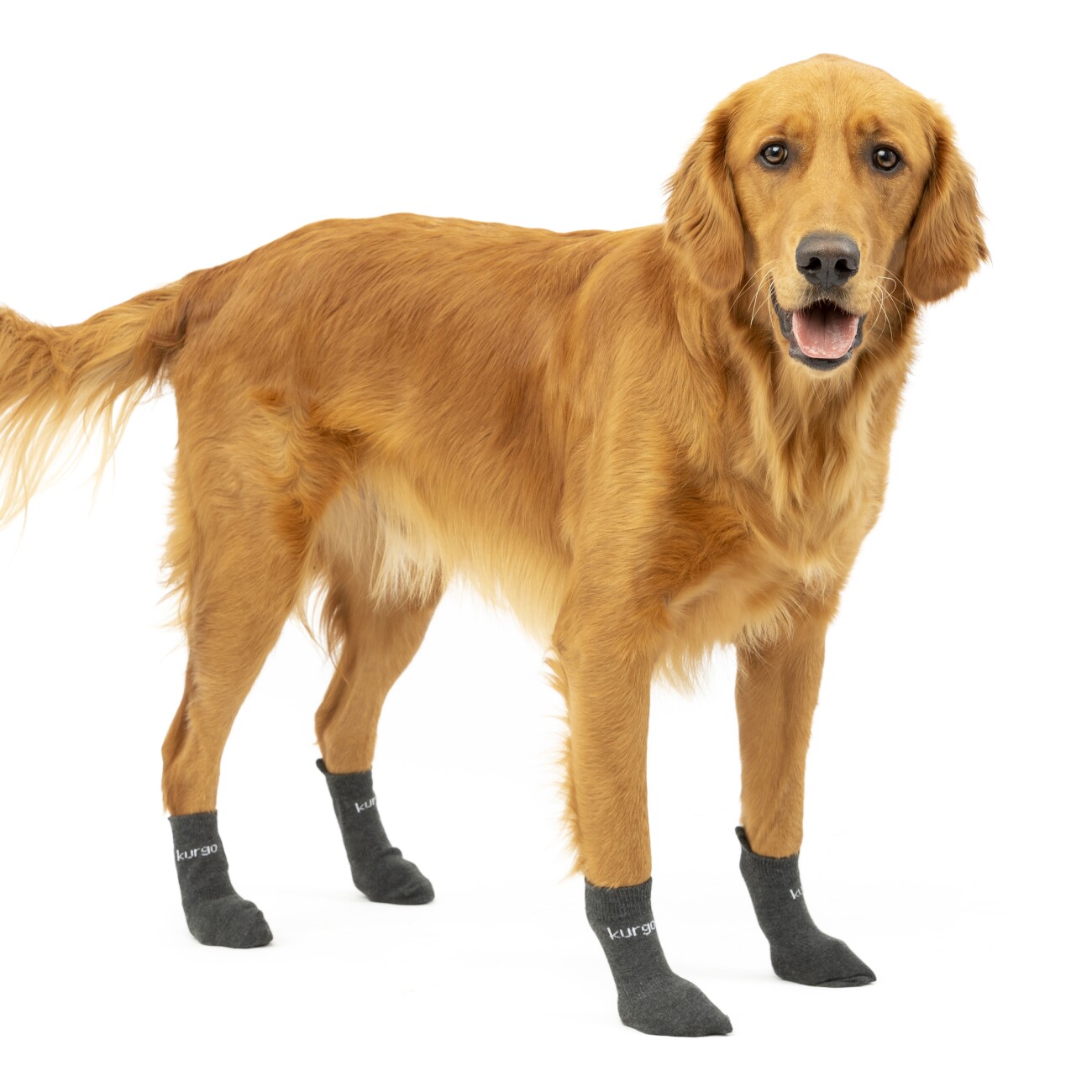 Kurgo Blaze Hundesocken 6,4 cm