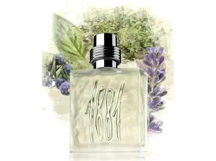 Cerruti 1881 for Men EDT M 100 ml