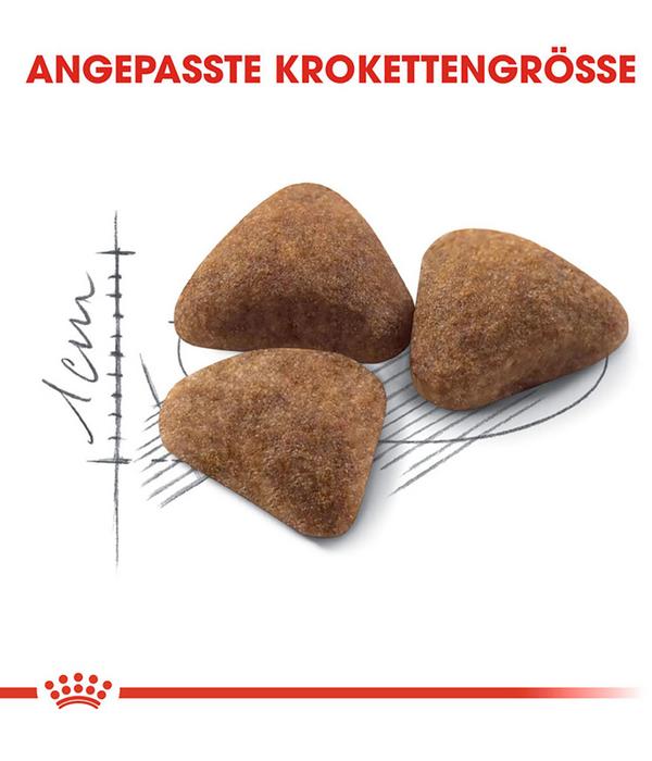 ROYAL CANIN® Trockenfutter für Katzen Indoor