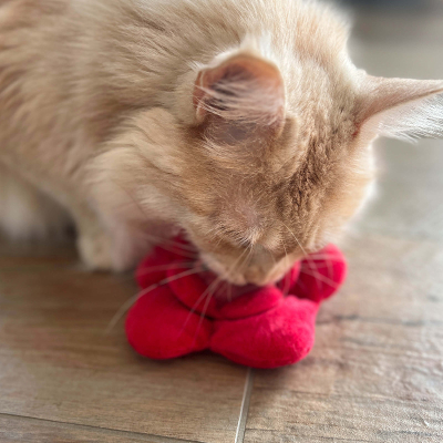 Aumüller Baldi Blümchen Katzenspielzeug