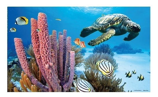 Fundo 3D para aquário da Penn Plax, ideal para decoração de aquários marinhos.