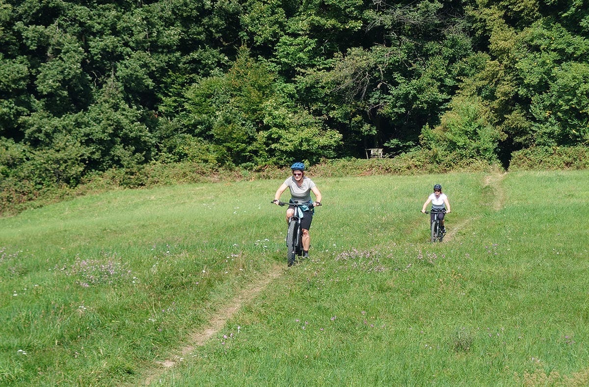 E-Mountainbike Tour Wien (4 Std.)
