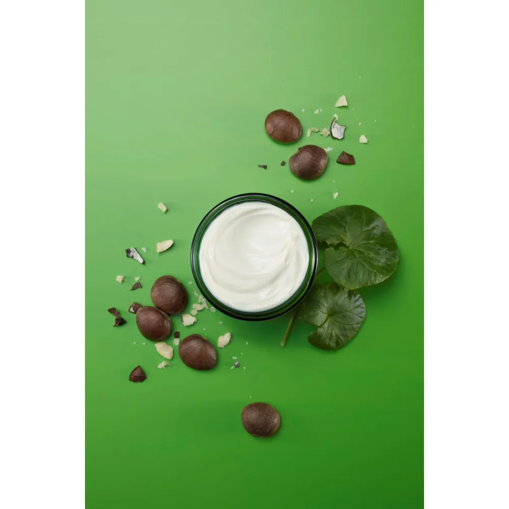 Weleda Skin Food Nourishing Night Cream - 40 ml.