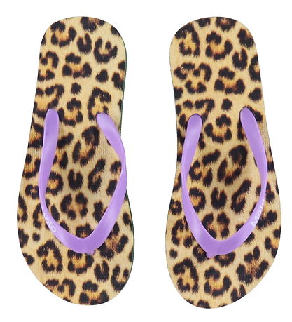 Molo Flip Flops - Zeppo - Allover Leo