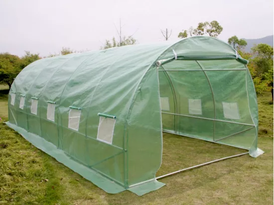 Serre tunnel avec structure en acier 18 m² - L300 x l600 x H200 cm - Vert - IPOMEA