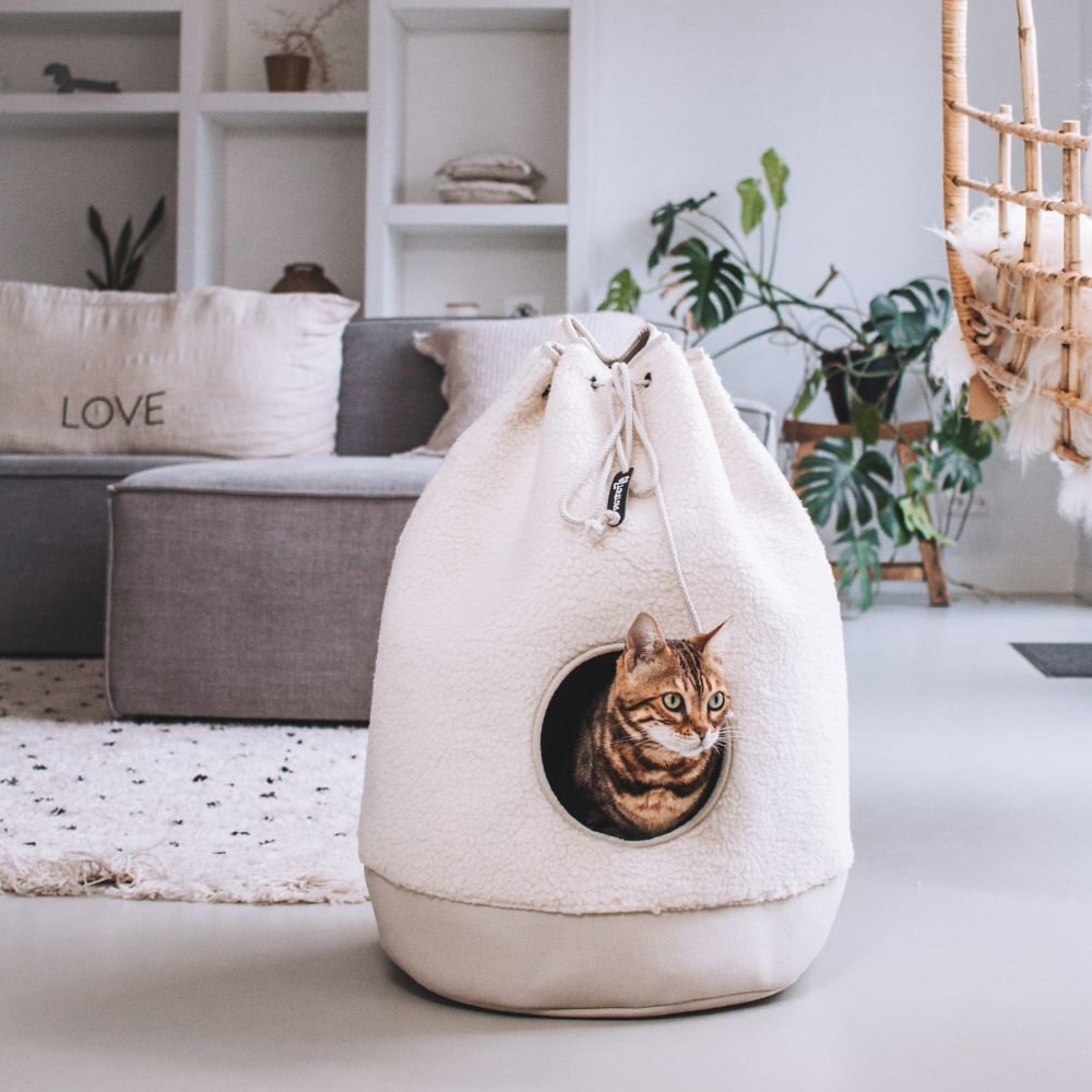 District 70 - Casa Teddy Kattenhuisje