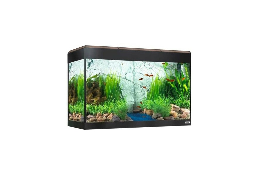 Éclairage del bluetooth fluval roma pour aquarium, 125 l, noyer