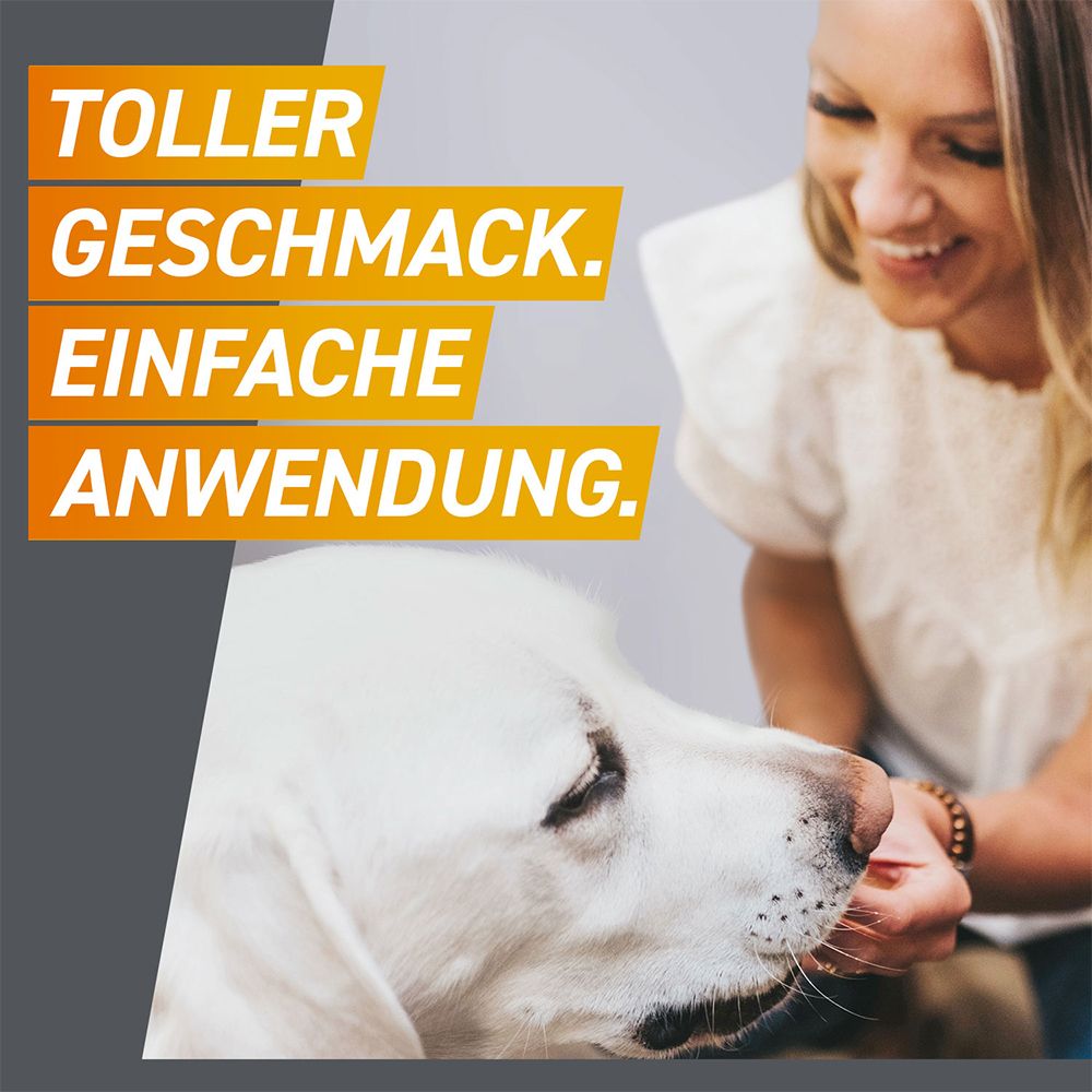 FRONTPRO® Kautablette gegen Zecken und Flöhe für Hunde (>25-50kg)
