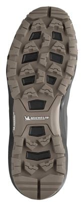 Chaussures de Randonnée Millet Wanaka Mid Gore-Tex Beige