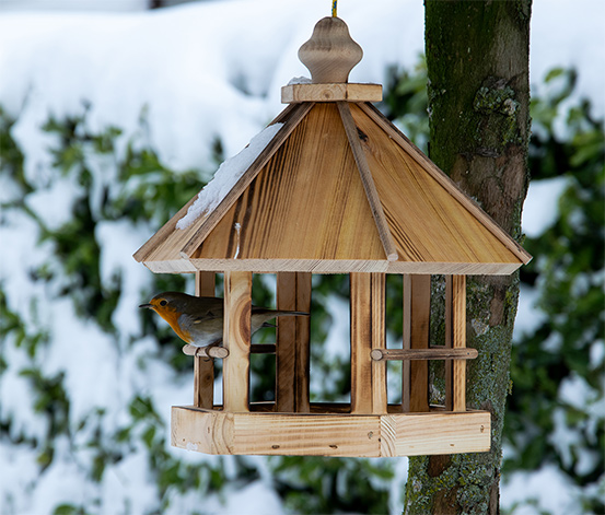 Vogelfutterhaus »Caliente«