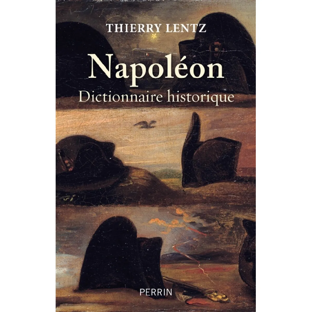 Napoléon : dictionnaire historique · Occasion