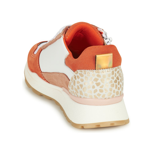 Bullboxer -  - Orange / Blanc / Marron