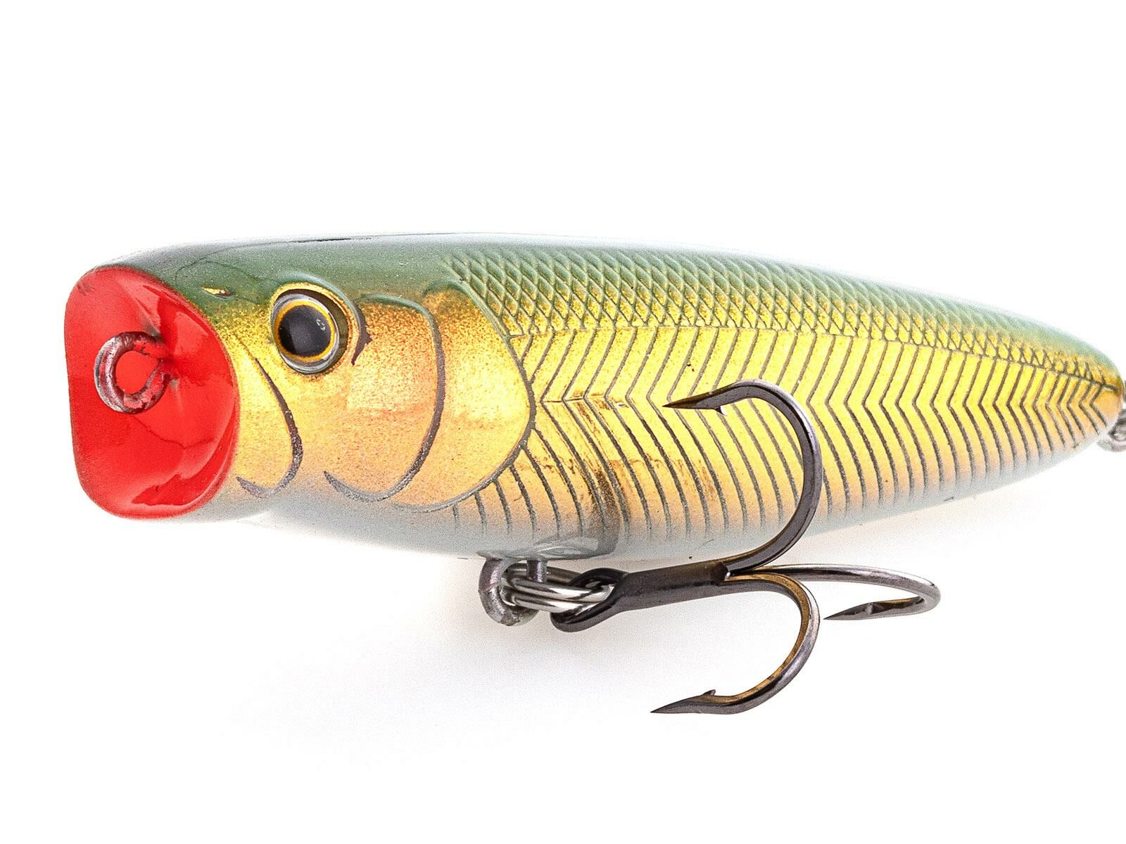 Tough Bug 65 (221) Natural Gold(Nories)