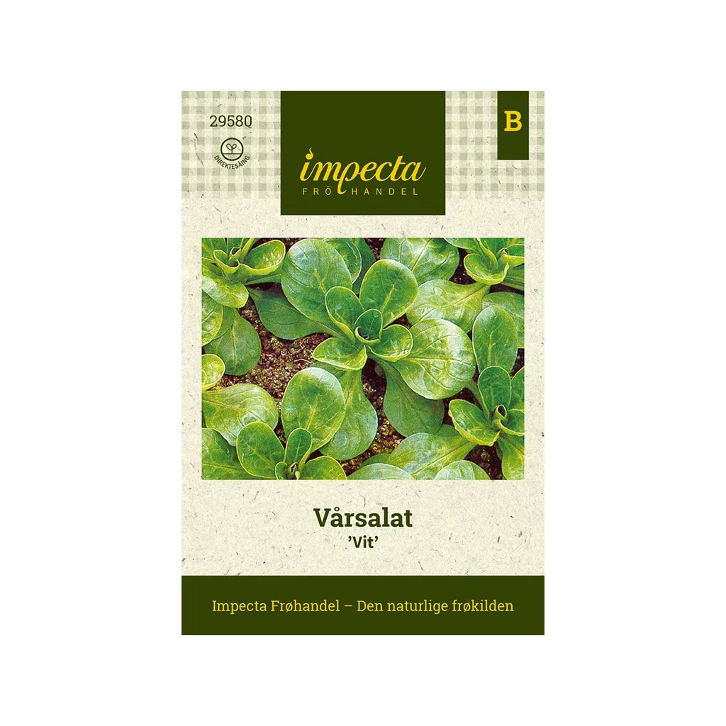 Valerianella locusta 'Vit' Vårsalat 'Vit'