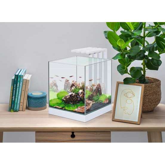 Aquarium Nano Nexus, blanc - 25 litres