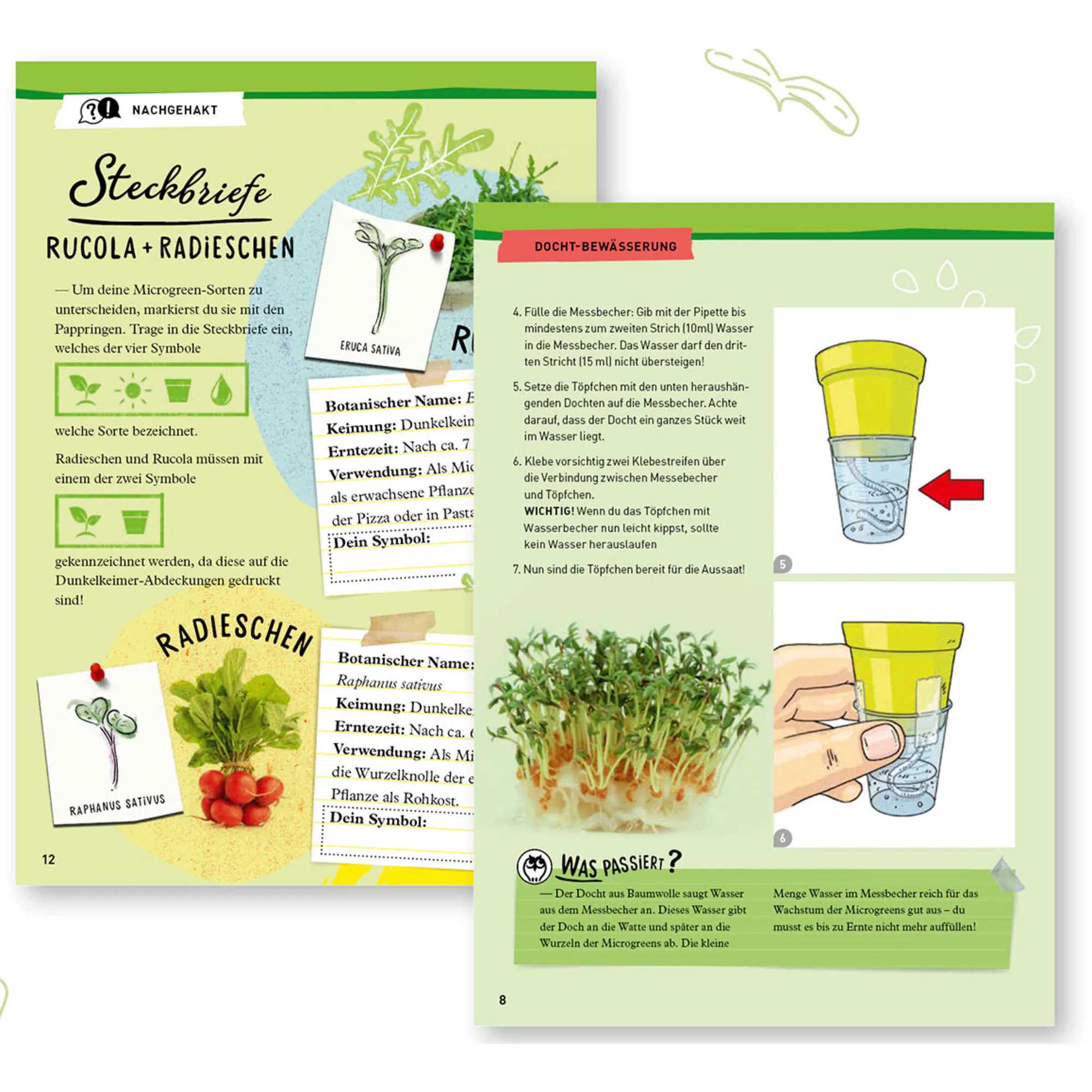 Kosmos Experimentierkasten Microgreen-Garten