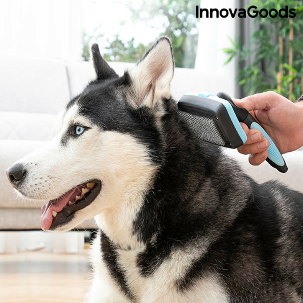 Brosse pour animaux de compagnie avec dents rétractables groombot