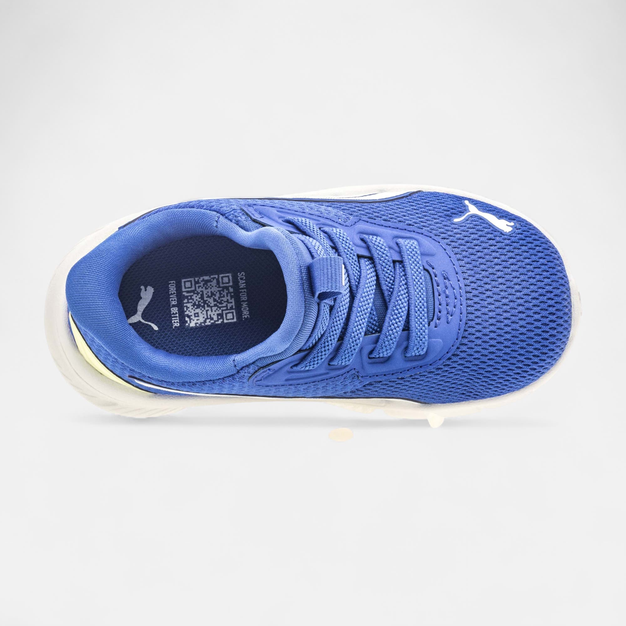 Sneakers Garçon bleu