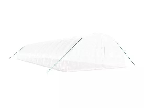 Serre tente abri plante blanche 20 x 6 x 31079 cm 02_0044541
