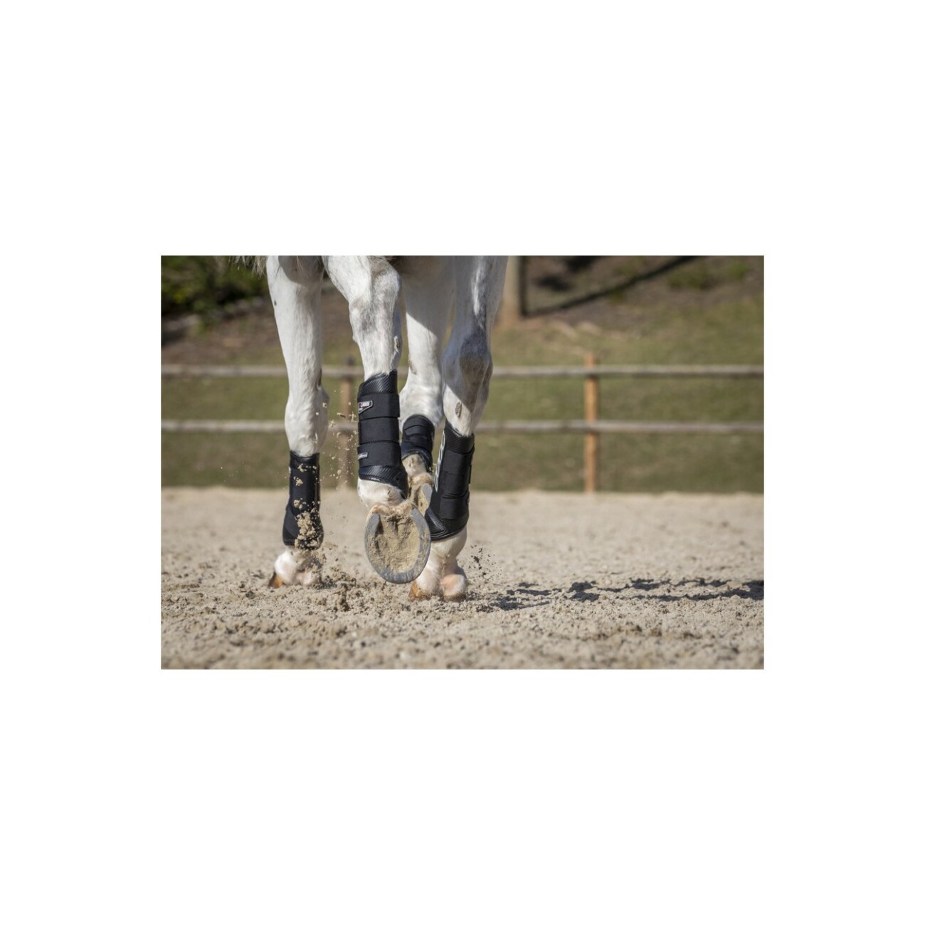 LeMieux Gamaschen Carbon Air XC hinten L