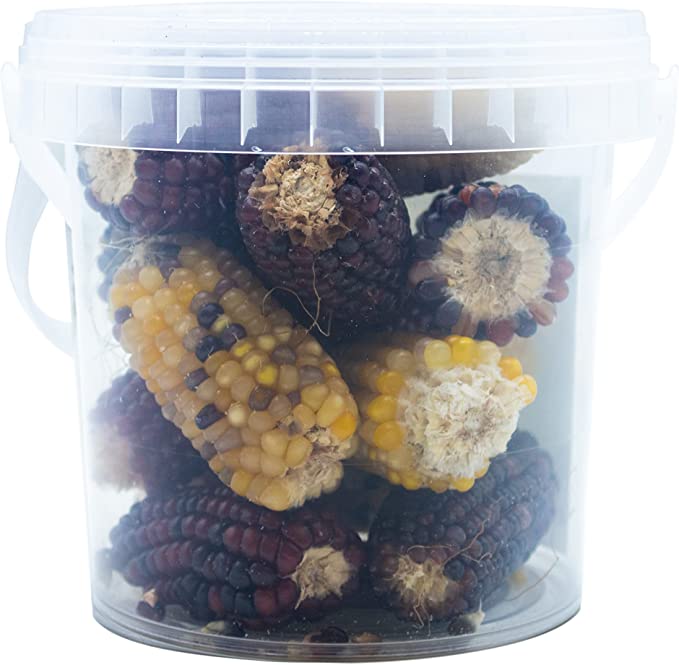 Mini Espigas de Milho para Galinhas e Coelhos - PicoMaíz - Petisco 100% Natural para Roedores e Pássaros - 240g - Ajuda a Desgastar os Dentes e o Bico