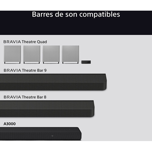 Caisson de basses Sony BRAVIA Theatre Sub 7 SA-SW7 100W