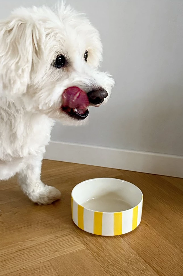 STELLA matskål for hund/katt