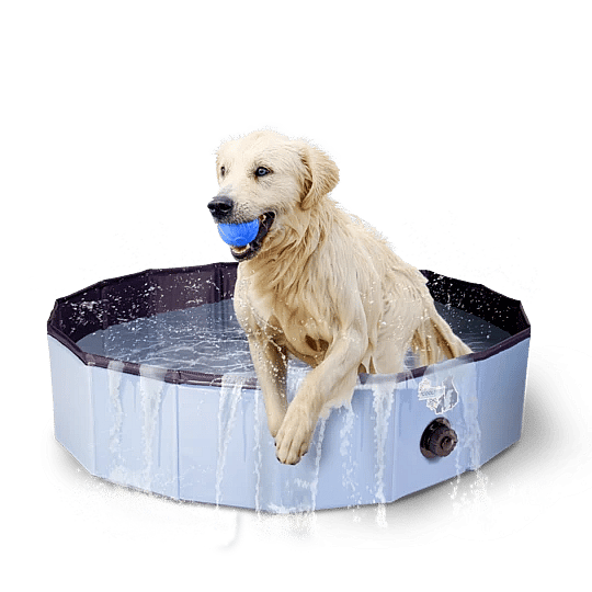 Coolpets Zwembad | Large - 120 x 30 | 12343.2