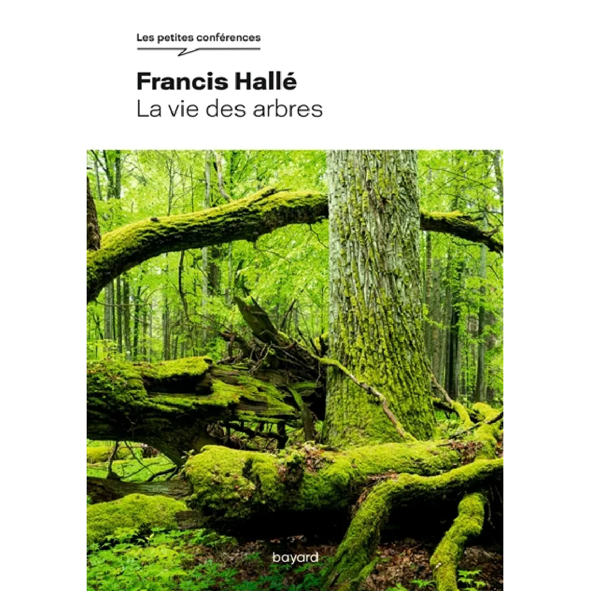 La vie des arbres