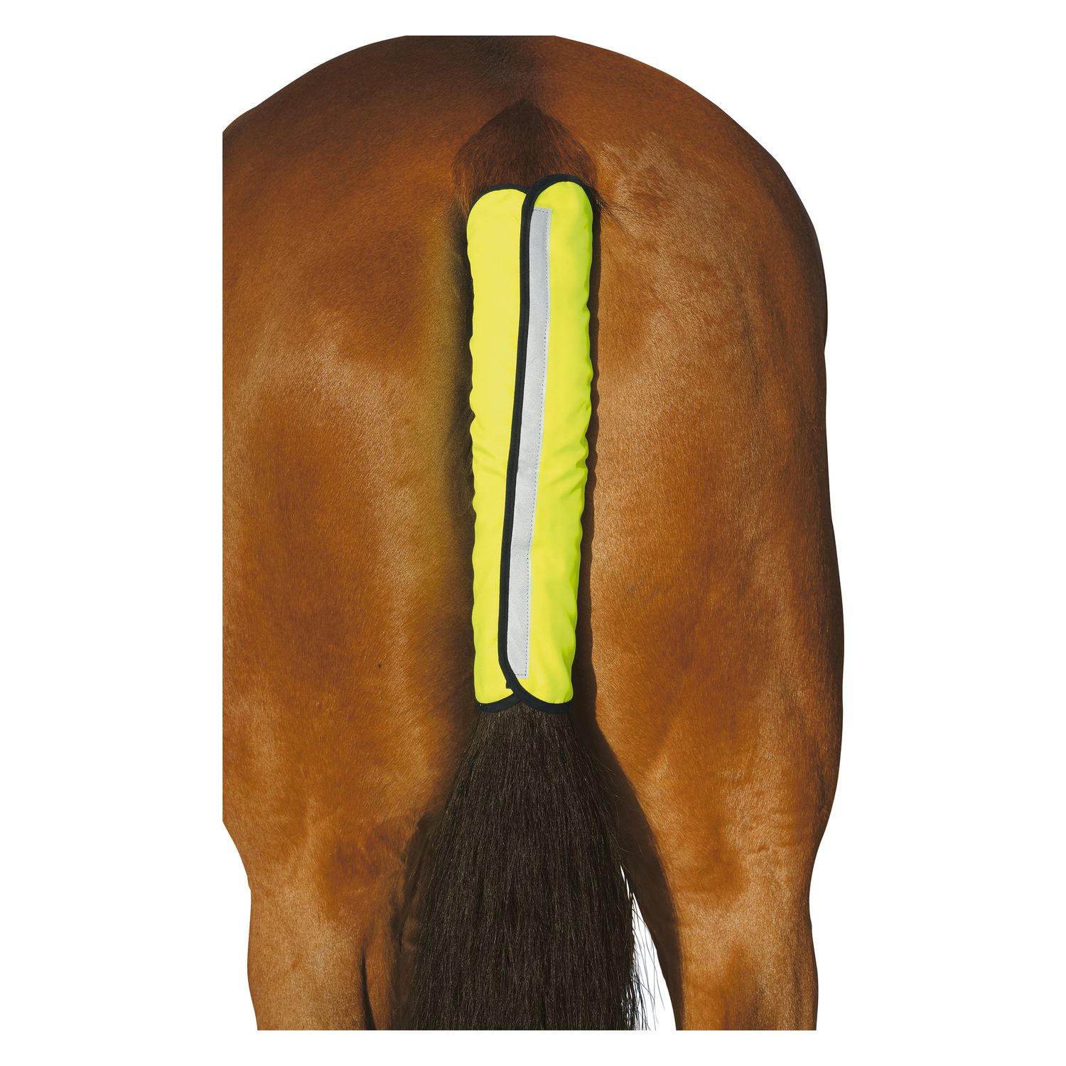 PROTECT by Horse-friends Schweifschoner
