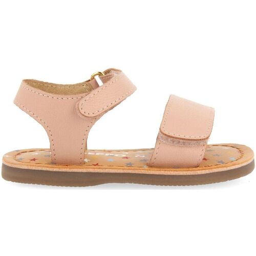 Gioseppo - HIMARE Rosa