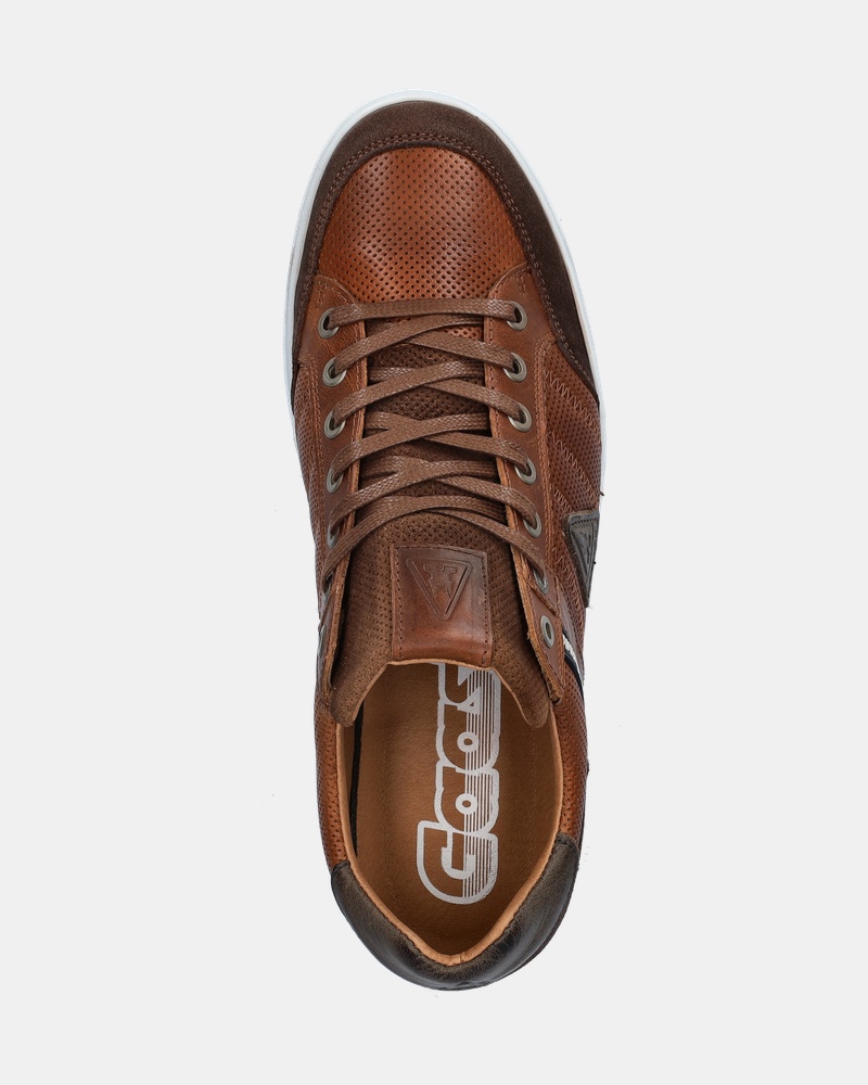 Gaastra Gellis Lage sneakers  - cognac