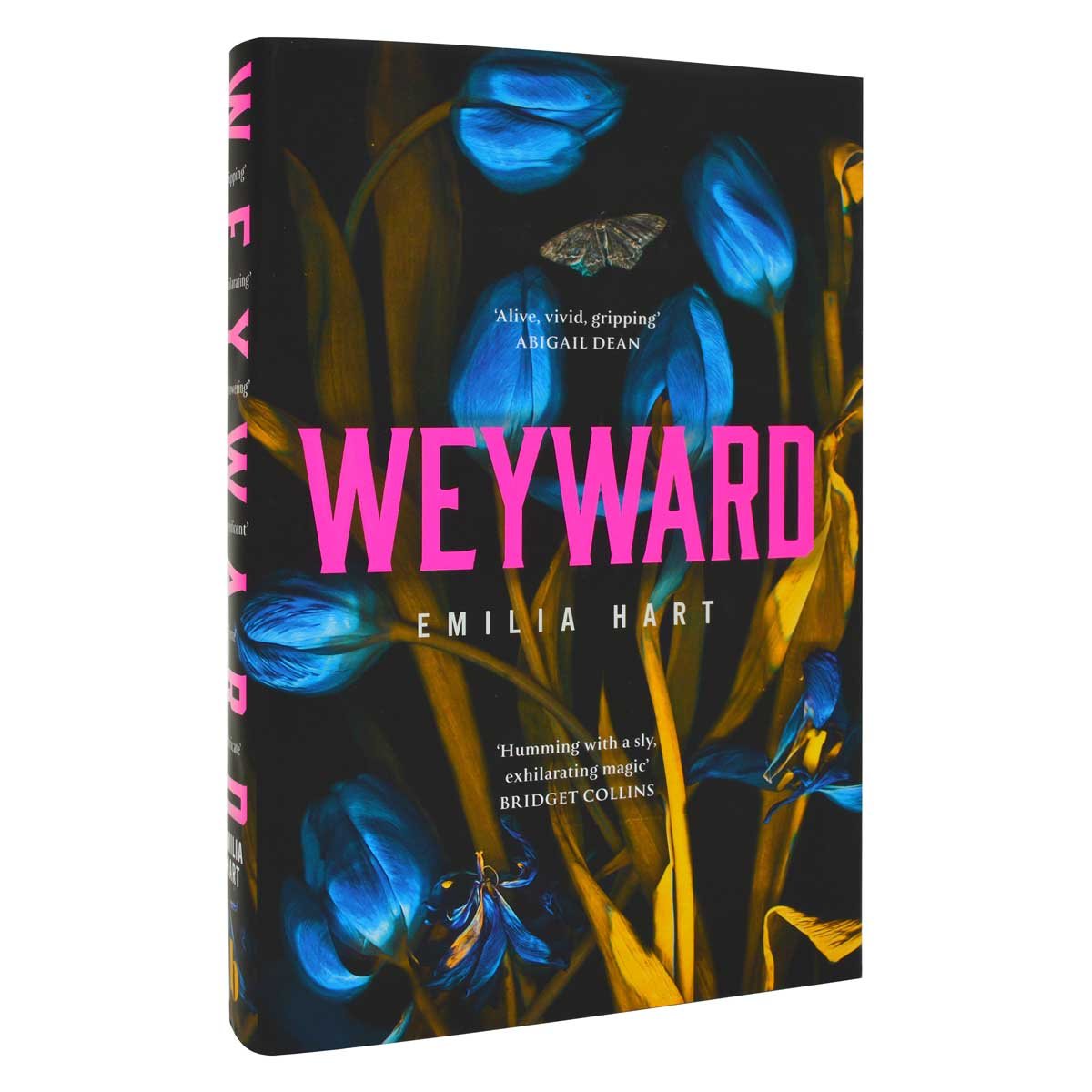 Weyward (Hardback)