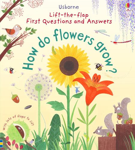 First Questions and Answers: How do flowers grow - First Questions and Answers (Board book)