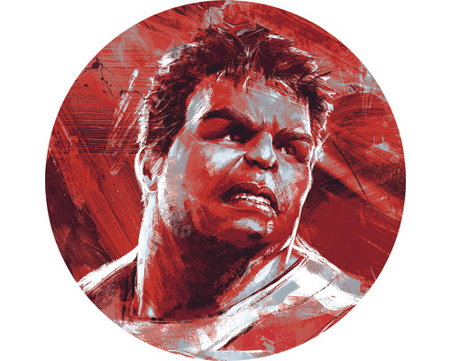 Zelfklevend fotobehang DD1-047 Dot Avengers Schilderij Hulk Ø 125 cm